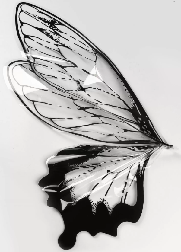 product image 74b44d0a90379216a0b2daa24762a716