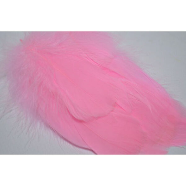 product image 9371d179e7baa66e1c2752501e990013