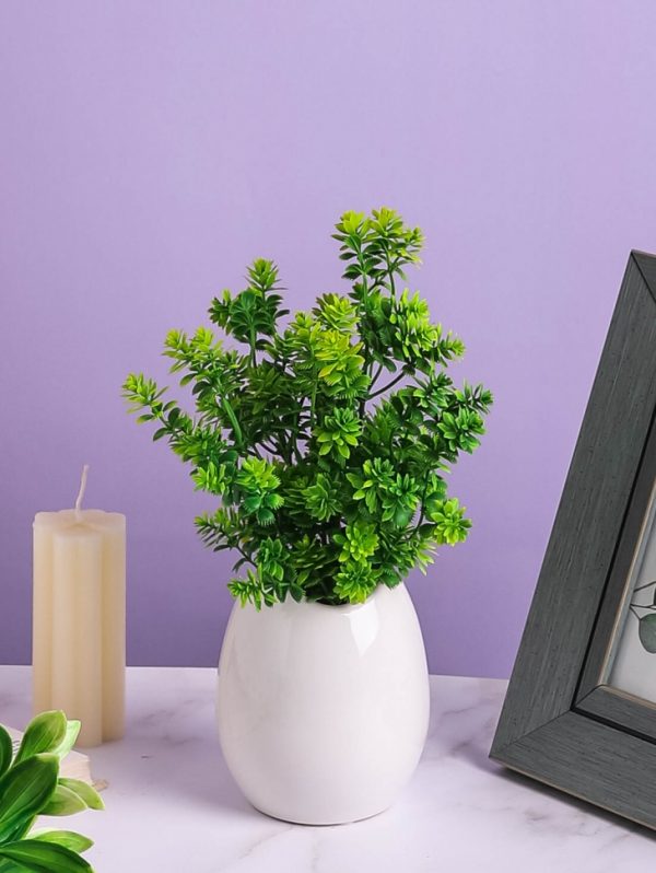 product image c20c0c11fc5d48044c9ab3c87a4dcfa9