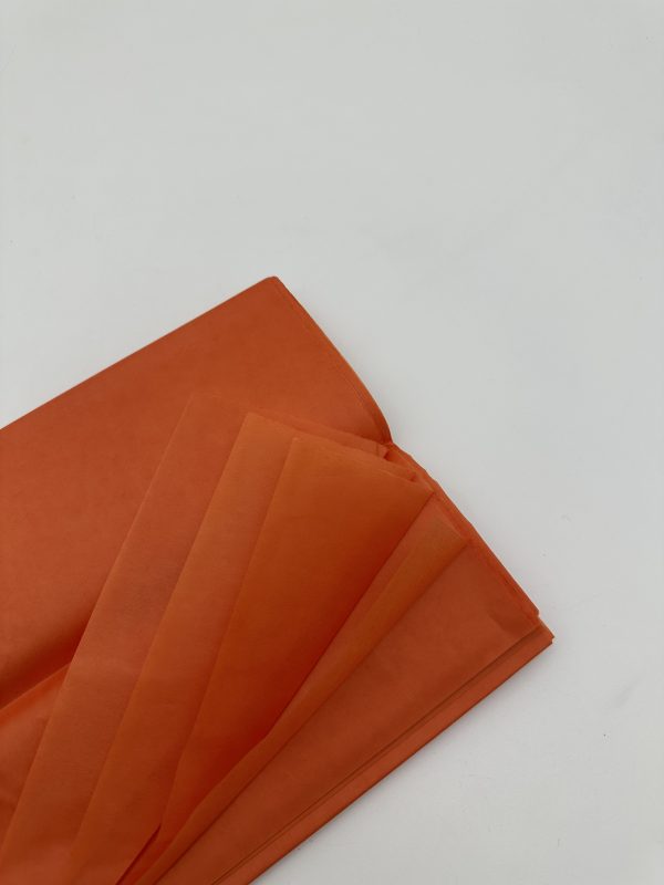 product image b4998927c2d8395bfba935ef1b2012f2 scaled