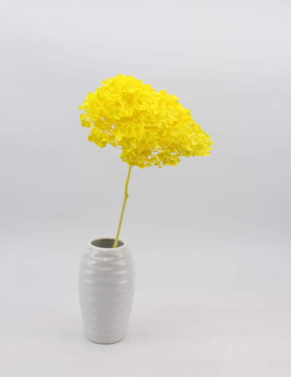 product image 14f4b891f8e33c362c242e4dc3f52878
