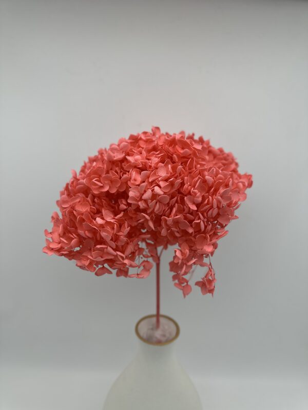 product image df6e4dce5f61772f0d81d1d5cc2ac574 scaled