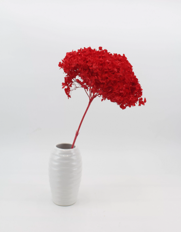 product image efb7dff0df2f380ea731f43a76302b2b