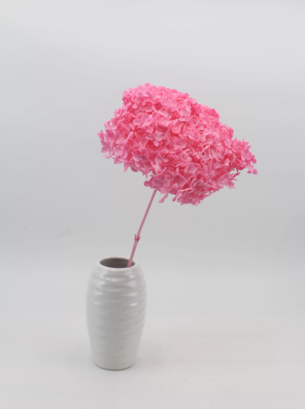 product image f3031da4e1444f66f60d496660b3f2da