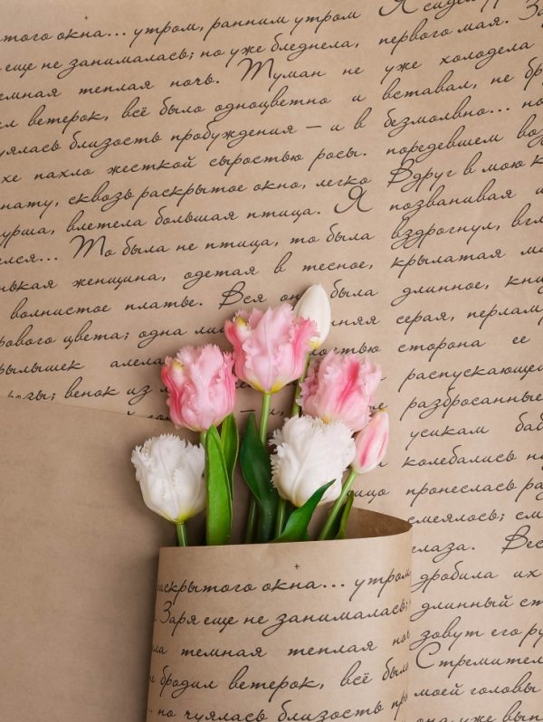 product image 64303b60ce1f6282388654c2254ddcb7