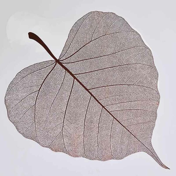 product image 84abae2c99c7c91f76616cb4ea7e8d04