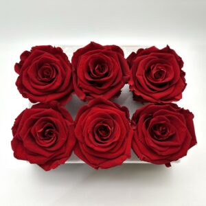 Роза стабилизированная, 6шт/уп., Light red
