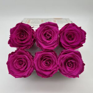 Роза стабилизированная, 6шт/уп., Fuchsia