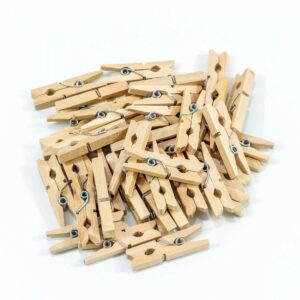 Цветочный аксессуар Прищепки декоративные 3*0,8*0,4 1/100 2680