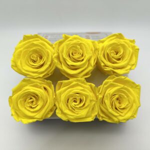 Роза стабилизированная, 6шт/уп., Sunny Yellow