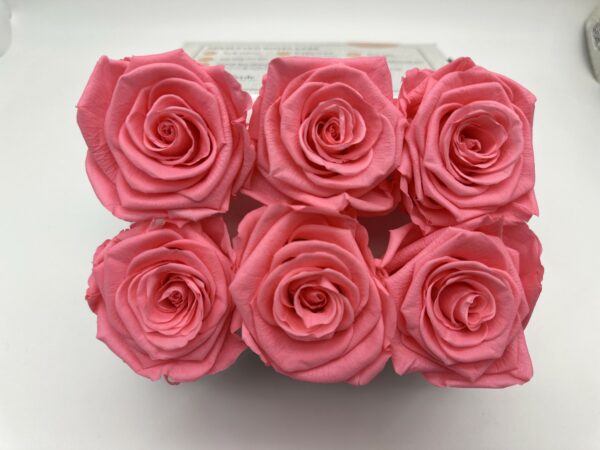 Роза стабилизированная, 6шт/уп., Light pink