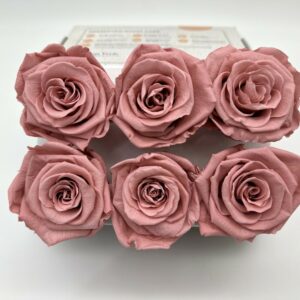 Роза стабилизированная, 6шт/уп., Dusty pink