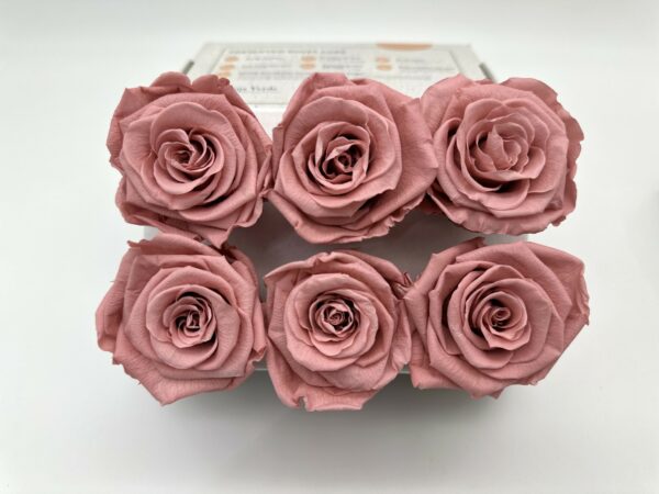 Роза стабилизированная, 6шт/уп., Dusty pink