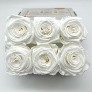 Роза стабилизированная, 6шт/уп., White
