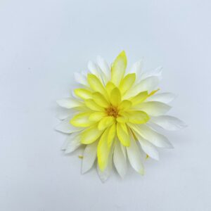 Георгин (Dahlia) стабилизированный, 1шт/уп., Chroma sunny