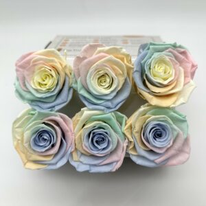 Роза стабилизированная, 6шт/уп., Pastel rainbow