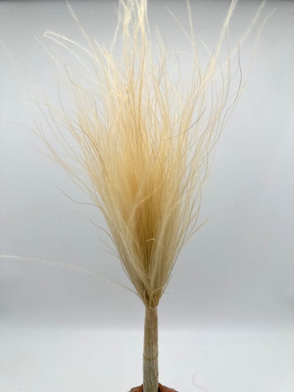 product image 08e9929f4723ca78e6709d06a8c35803 scaled