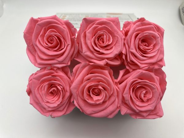 product image 0eabd8bcfc8f189ff7b3461596189360 scaled