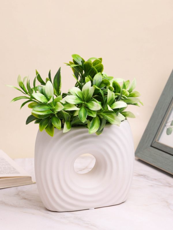 product image 2ecaf26b79ad7442232e34a2334b1a76