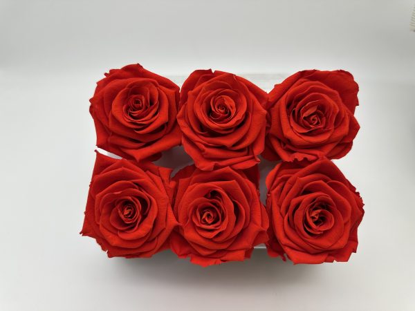 product image 697ffdb48bb3af6809ab35ec636a4aef scaled