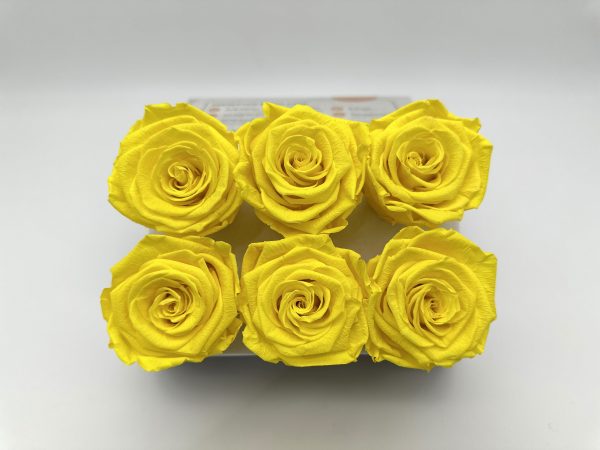 product image 6baadd1ffd1cb4ef97883fb32e3f5dd8 scaled