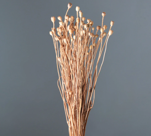 product image 9705b5b53b5850da97cc1e1c7061cbf5