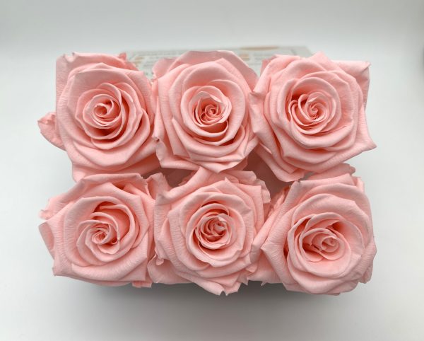 product image a3185b1ed6812d4ef2374bfda77b8bb1 scaled