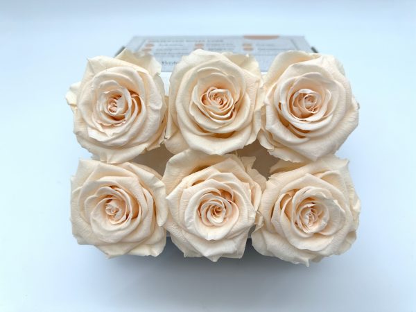 product image aa49bdf5ed3c6b7cba14650090b88da0 scaled