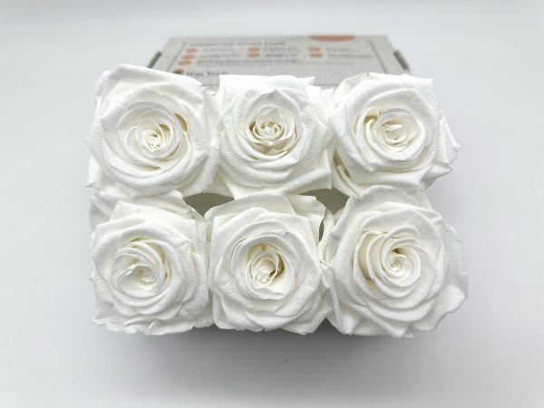 product image aac30f1bdeea0d0a8ceb5441ab9e5f96 scaled