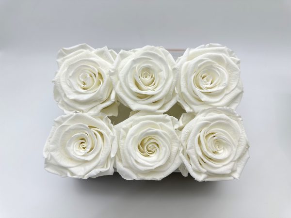 product image b0b487d69a248349c6bcbbfc8566ab8d scaled