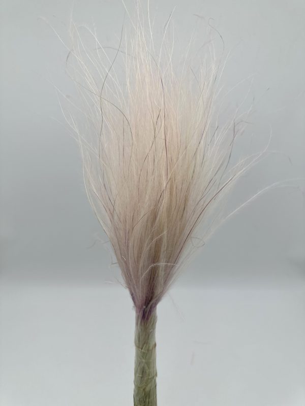 product image ba863036b5642fdfcdc7079292eeecae scaled
