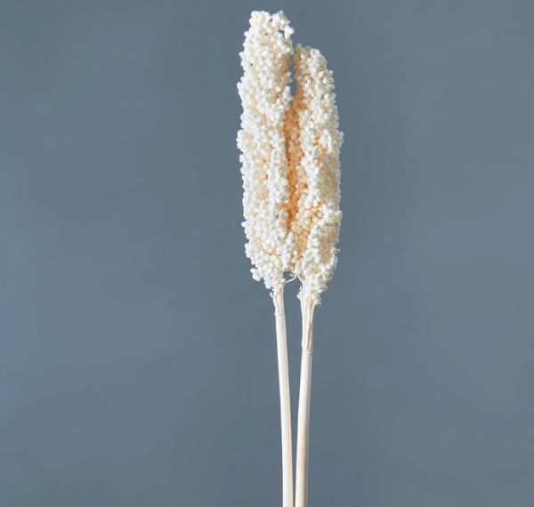 product image f70cf270ff489b0d428a45320cab1c0b