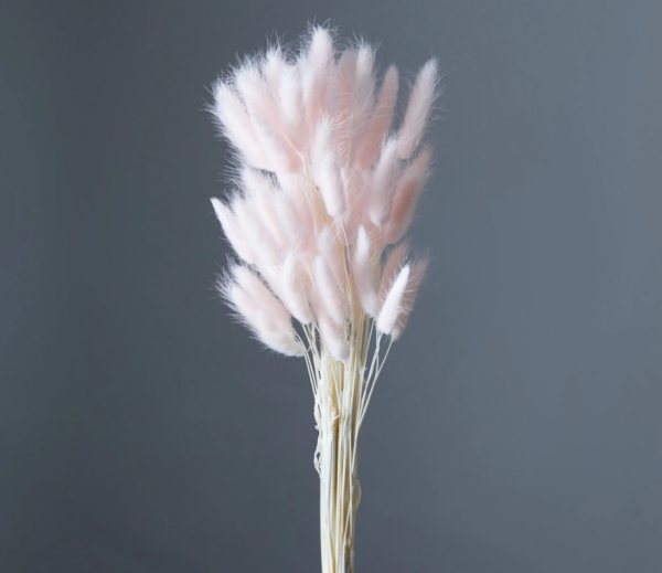 product image a11e9791a6aa34d5ce574d9e017cf1ca