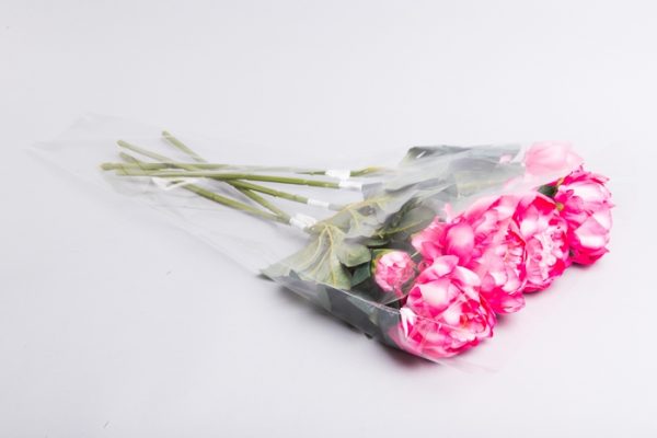 product image 2587b8e0e56e63b78e74a4d29c2ab398