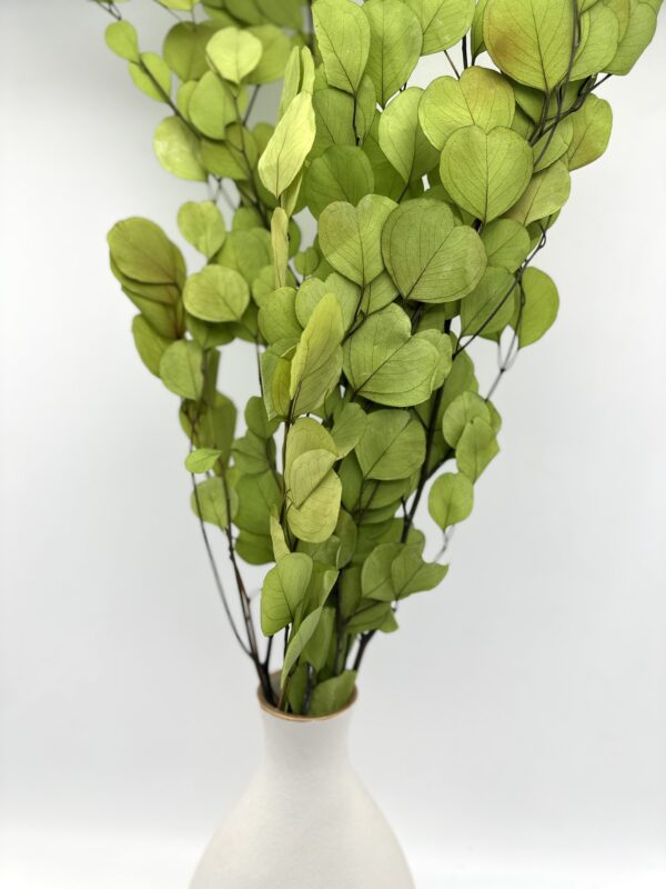 product image 823674251282e2987defae3dd222ca87 scaled