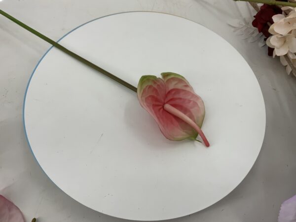 product image 8ecf7d0764a6df90b1b74cb6e4b3052e