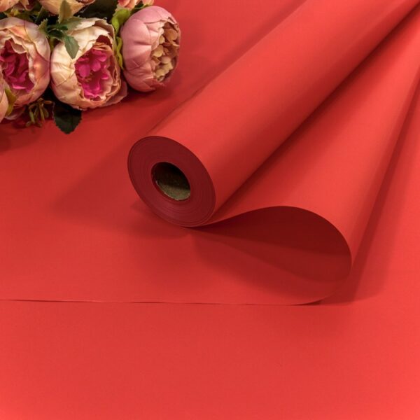 product image c881985a0234d29be50cb5c7a04e6a16