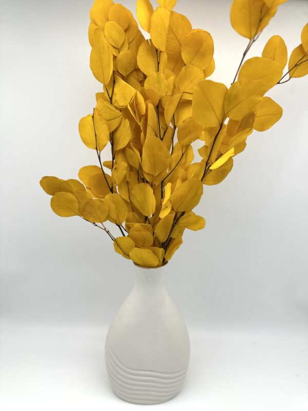 product image d805d5478d86e23c75a7d5ddac6644fd scaled