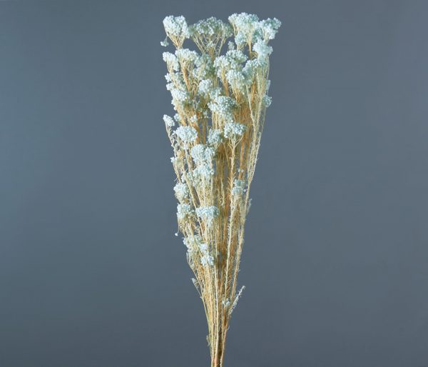 product image 1267ac1595c2dd7b5f33daad8832f9b1