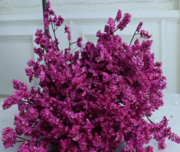 product image 217bc0ce06182f4ef874f855ce5a262d