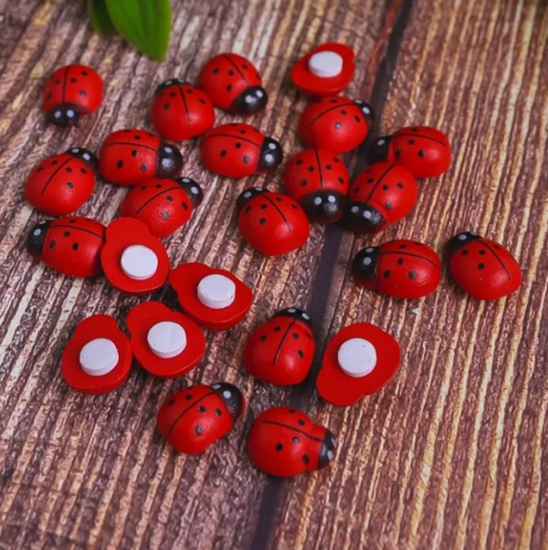 product image 607957e69a10d014caccced07d8a36ea