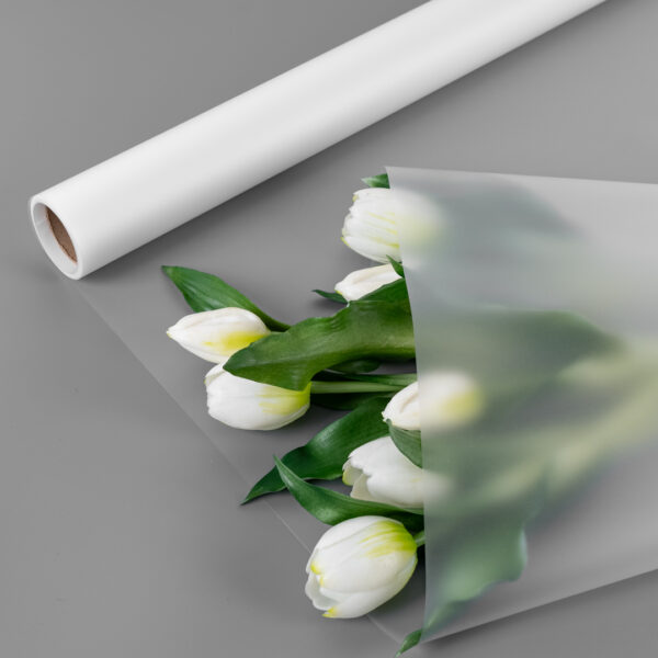 product image 663e2200779a62313ffe886f765a113c