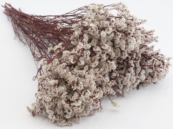 product image 7128981823d64f849c85ed48e563862c scaled