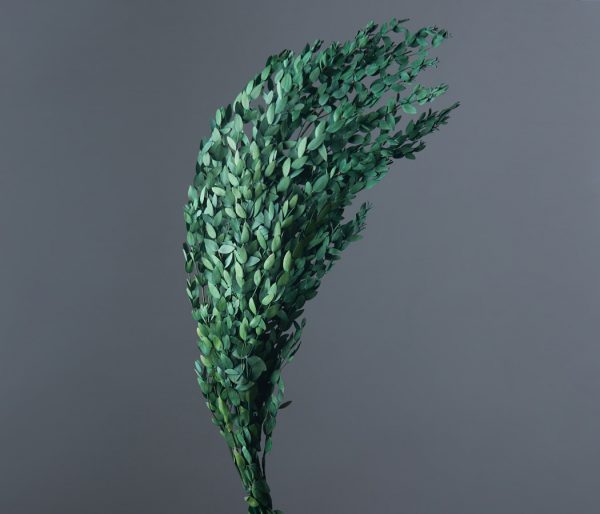 product image b8d2c2431134c4df7626525d274e8455