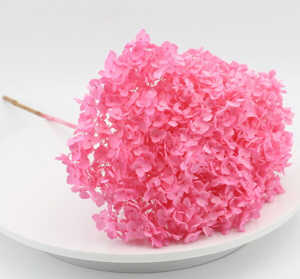product image d5c7ad772110bf15bef80facf17d8982