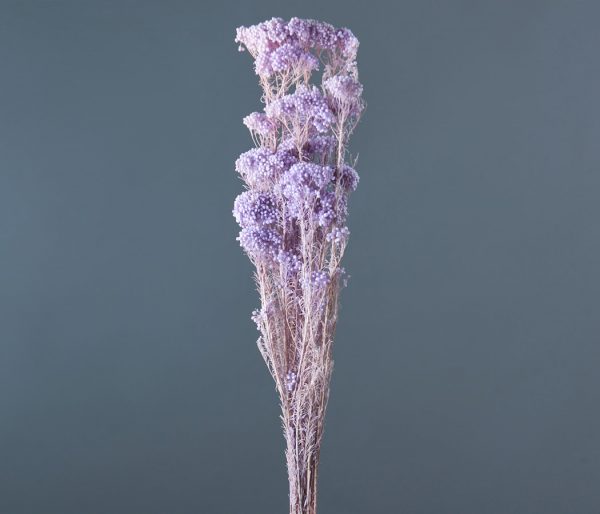 product image dfc2defcbe3a521d42eeba18655877d9