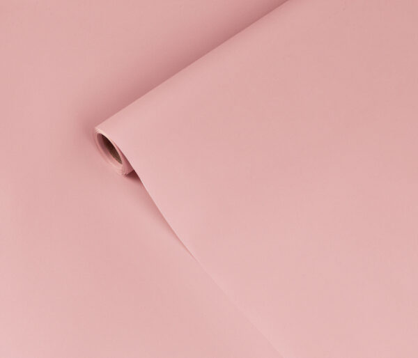 product image 421d346854606454b520cd763520085e