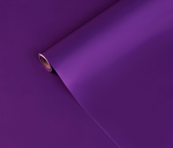 product image 81f19532f306c652096ed9cac2f3023a