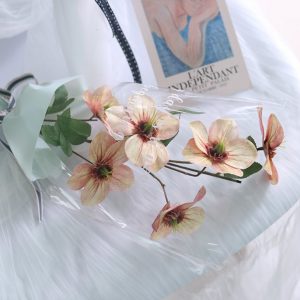 Конусы