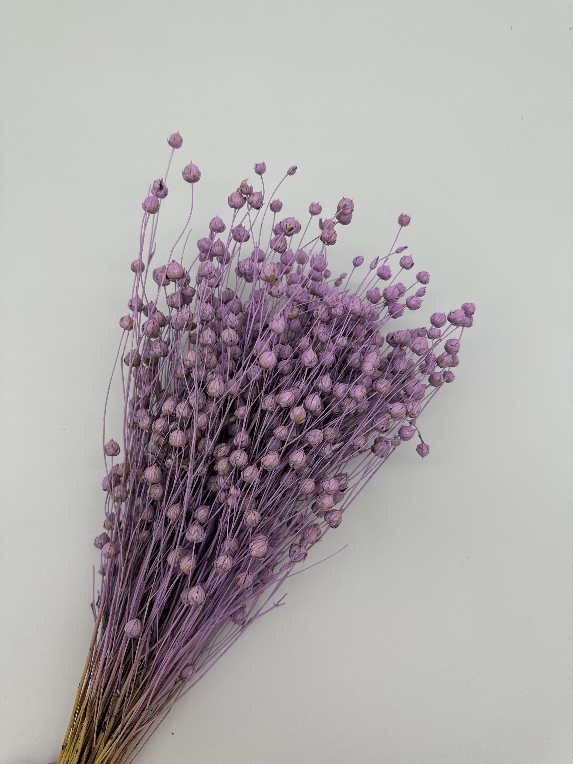 product_007961fb335b25c5d367baf36c8e5273